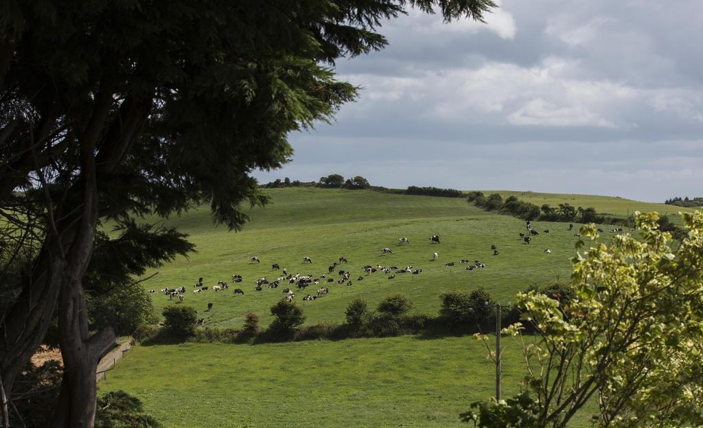 Ard Na Greine Bed & Breakfast Clonakilty Bagian luar foto